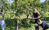 изображение_viber_Мядельский р-н
